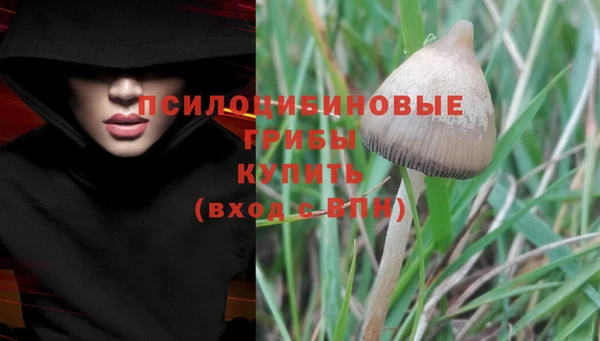 ALPHA-PVP Новодвинск