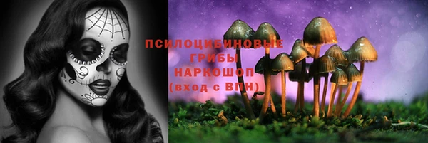кристаллы Новозыбков