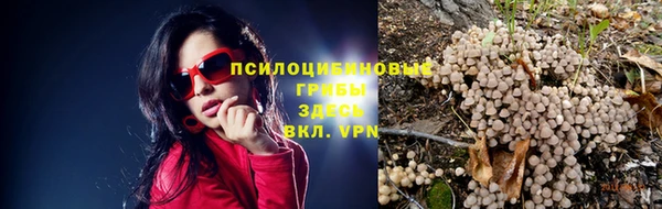 кристаллы Новозыбков