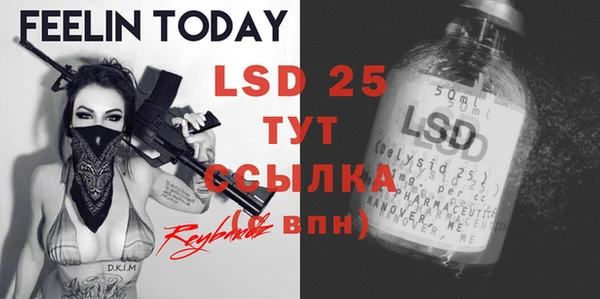 индика Слюдянка