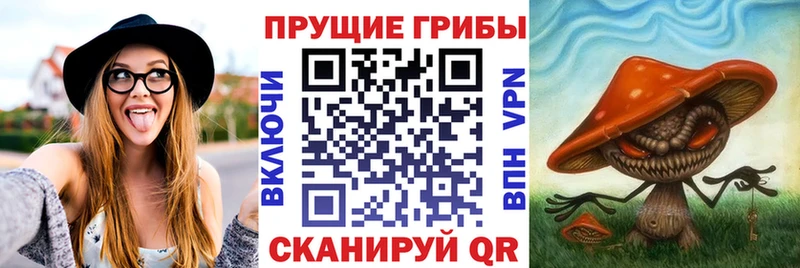 ОМГ ОМГ tor  Харовск  Галлюциногенные грибы Cubensis 